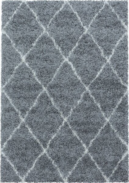 Kusový koberec Alvor Shaggy 3401 grey (120x170 cm)