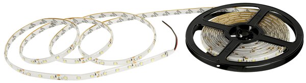 ECOLIGHT LED pásik - SMD 2835 - 5m - 60LED/m - 4,8 W/m - IP65 - studená biela