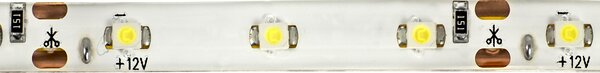 ECOLIGHT LED pásik - SMD 2835 - 5m - 60LED/m - 4,8 W/m - IP65 - studená biela