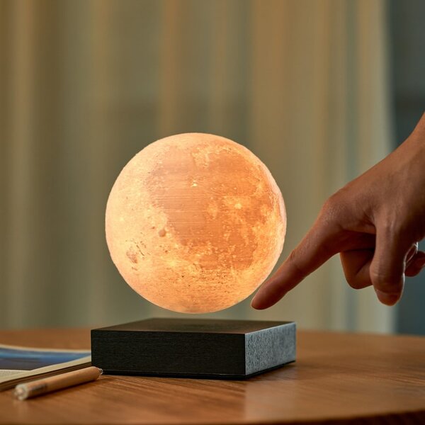 Čierna svetelná dekorácia do zásuvky ø 12 cm Moon – Gingko