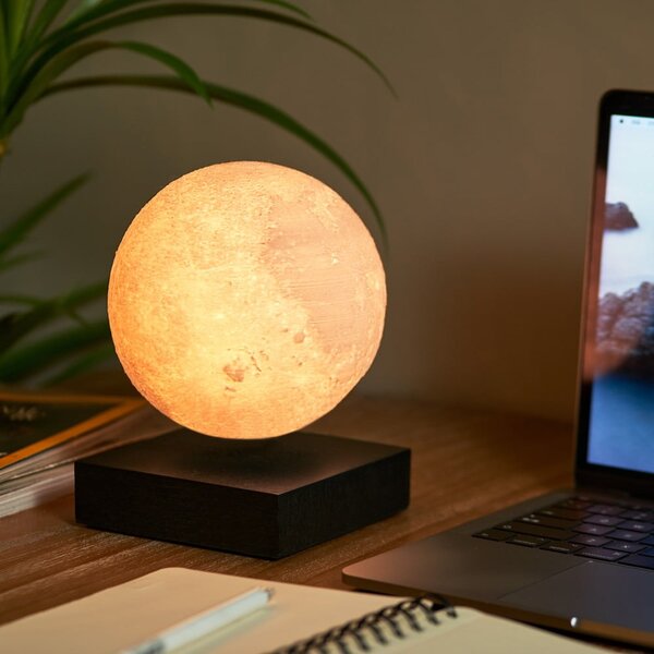 Čierna svetelná dekorácia do zásuvky ø 12 cm Moon – Gingko