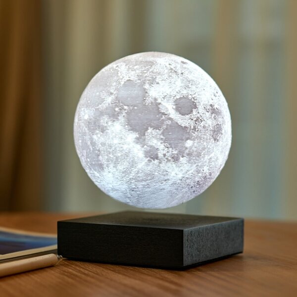Čierna svetelná dekorácia do zásuvky ø 12 cm Moon – Gingko