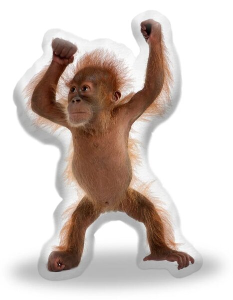 Sablio 3D vankúš Orangután 39×50cm