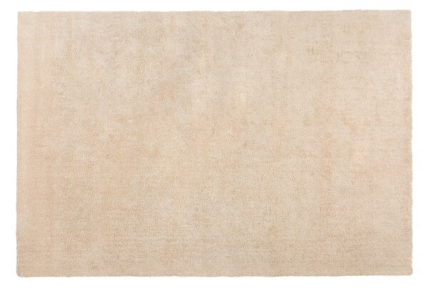 Koberec béžový 200 x 300 cm moderný všívaný strojom obdĺžnikový huňatý s vysokým vlasom