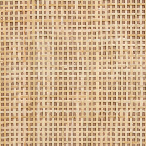 Ratanová komoda svetlé drevo MDF ratanová predná časť 2 dvierka skrinka polica boho štýl predsieň chodba