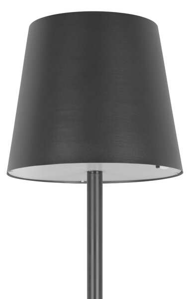 SOLÁRNE SVIETIDLO, 28/149 cm Ambia Garden - Vonkajšie osvetlenie