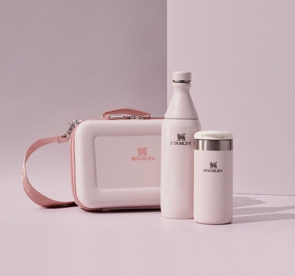Desiatový box All Day Arista Mini Lunch Box Rose Quartz – Stanley