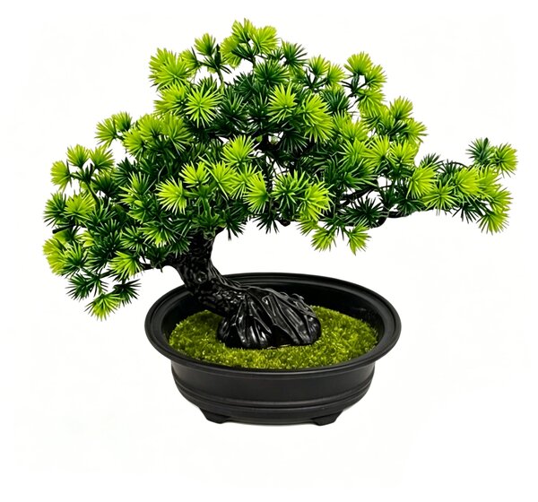 Sinsay - Dekoratívna rastlina bonsai v kvetináči - zelená