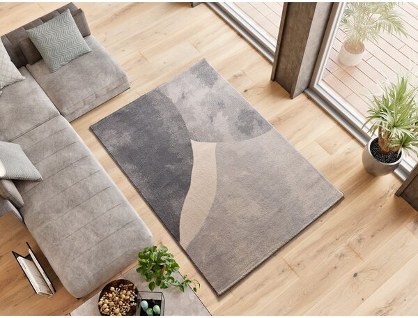 Sivý koberec 160x230 cm Monic – Universal