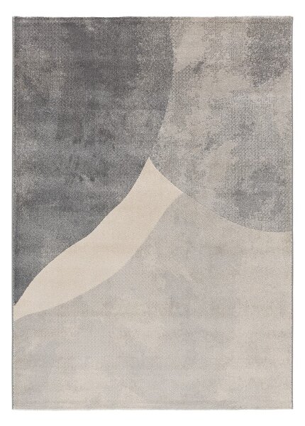 Sivý koberec 160x230 cm Monic – Universal