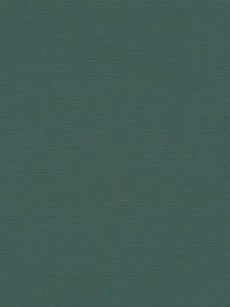A.S. Création | Vliesová tapeta na stenu Anna d´Andrea 39098-4V | 0,53 x 10,05 m | vining ivy