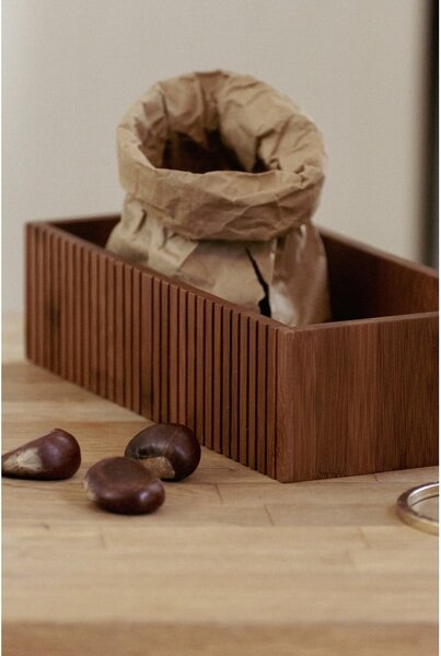 Bambusový úložný box v prírodnej farbe 30x15x8 cm Mera – Wenko