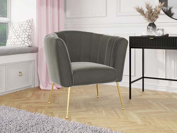 Mirjan24 Čalúnené kreslo Rimilo, Dostupné poťahy: Magic Velvet 2217 5903211173264