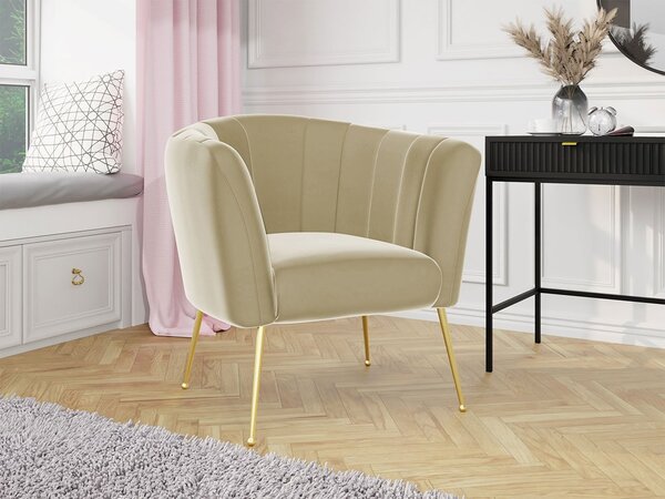 Mirjan24 Čalúnené kreslo Rimilo, Dostupné poťahy: Magic Velvet 2217 5903211173264