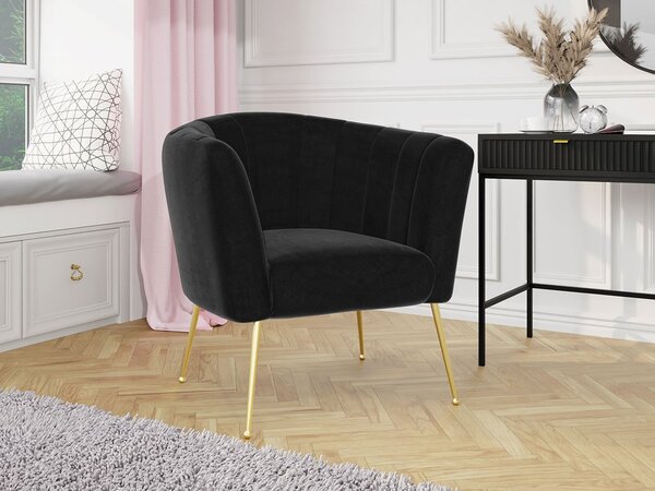 Mirjan24 Čalúnené kreslo Rimilo, Dostupné poťahy: Magic Velvet 2217 5903211173264