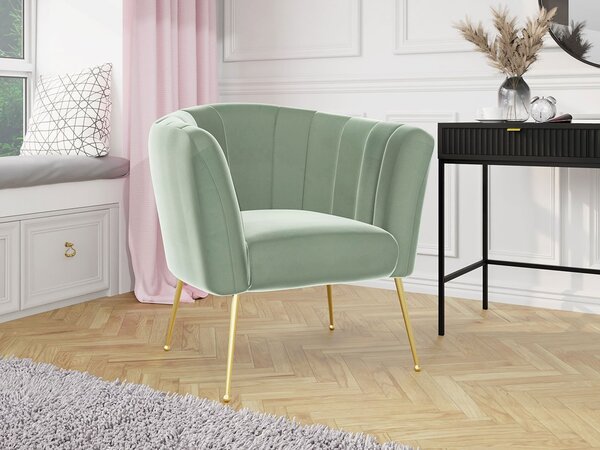 Mirjan24 Čalúnené kreslo Rimilo, Dostupné poťahy: Magic Velvet 2217 5903211173264