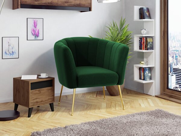 Mirjan24 Čalúnené kreslo Rimilo, Dostupné poťahy: Magic Velvet 2217 5903211173264