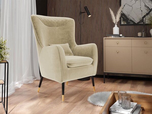 Mirjan24 Čalúnené kreslo Arisean, Dostupné poťahy: Magic Velvet 2258 5903211173479