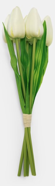Sinsay - Okrasná rastlina – tulipány - krémová