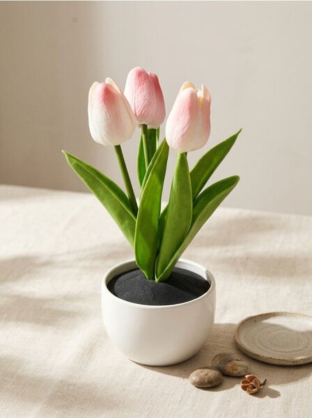 Sinsay - Dekoratívne tulipány v kvetináči - ružová