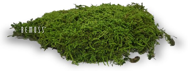 Stabilizovaný mach Flatmoss Light - 1000g