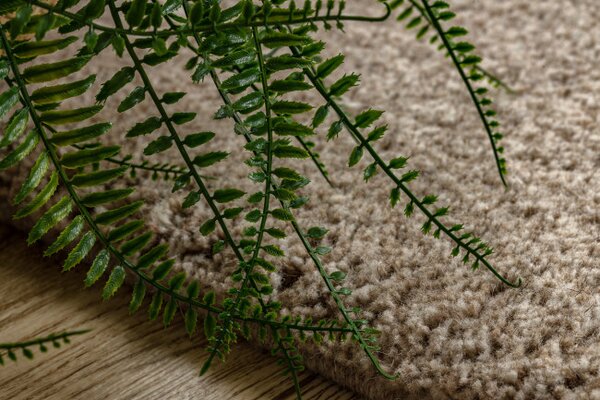 Koberec DUNE WOOL 497 01 TM621 béžový / hnedý