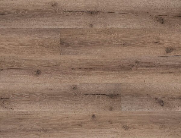 FLOOR FOREVER Bellissimo click rigid Dub rovio 6011 - 2.21 balení