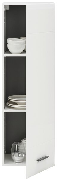 ZÁVESNÁ VITRÍNA, antracitová, biela, 40/122/35 cm Hom`in - Sklenené vitríny