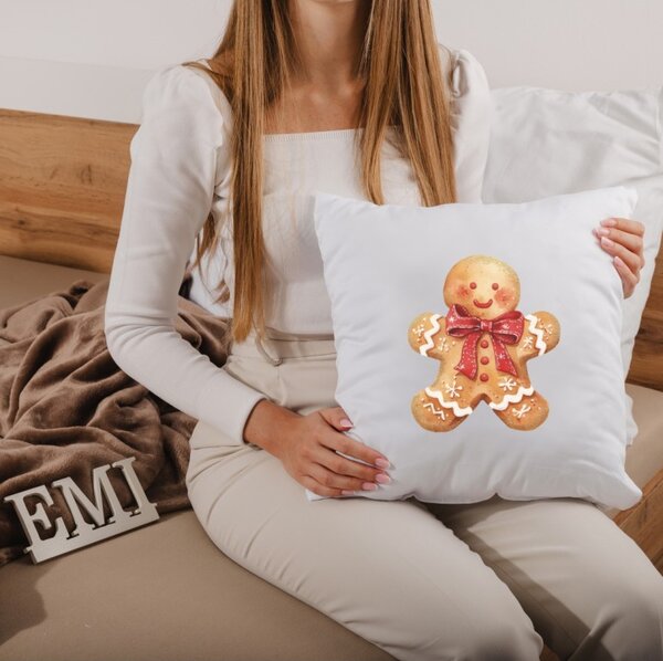 Vianočný vankúš Ginger 40x40 cm EMI