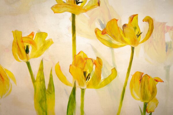 Ilustrácia Flowering tulips, Nel Talen, (40 x 26.7 cm)