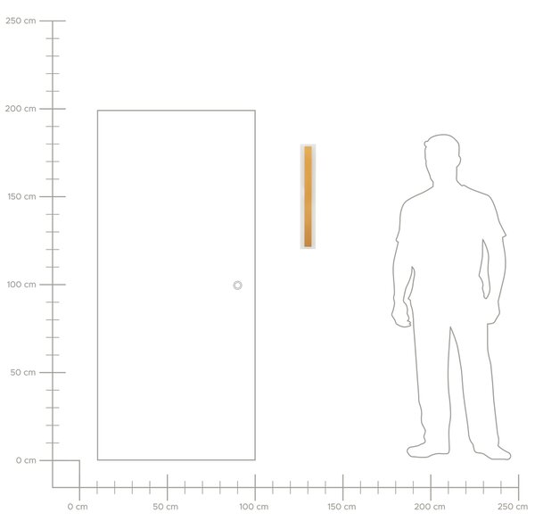 Vonkajšie nástenné LED svietidlo zlaté oceľ akryl 60 cm na stenu moderný štýl záhrada exteriér