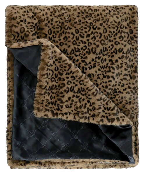 PLÉD, polyester, 130/170 cm Joop! - Textil do domácnosti