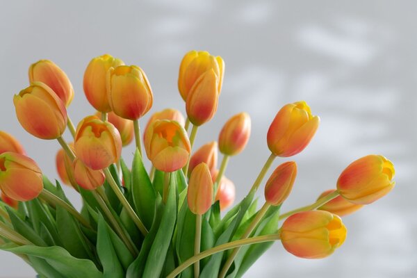 Kytica 7ks oranžových realistických tulipánov - 31cm - J-Line by Jolipa