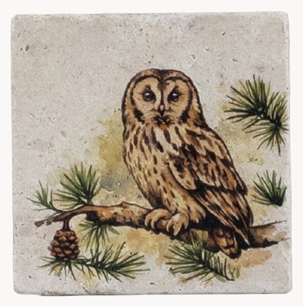 Podložky pod poháre Tawny Owl, 4 ks