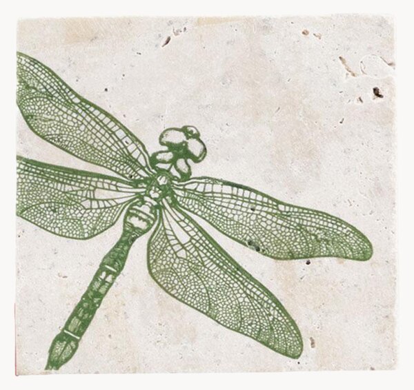 Podložky pod poháre Dragonfly, 4 ks