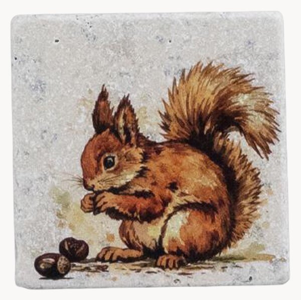 Podložky pod poháre Squirrel, 4 ks