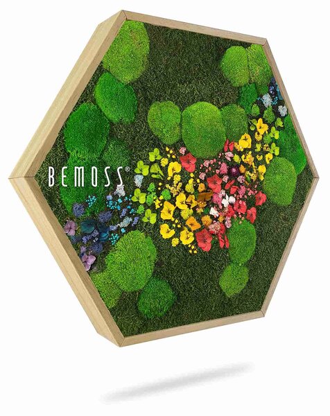 Machový Hexagon RASTLINY Acebo - Priemer 30 cm (v najširšom mieste šesťuholníka)