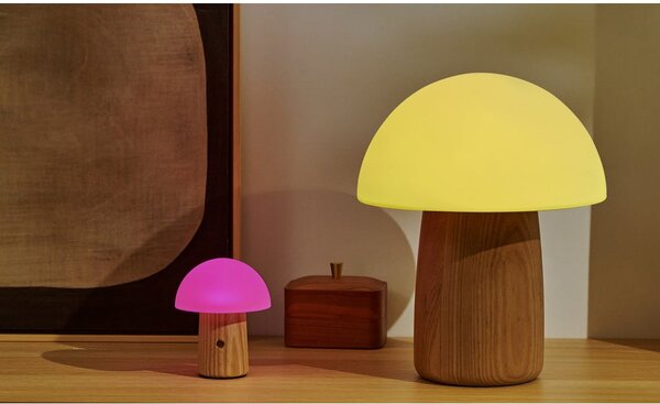 Stmievateľná stolová lampa v prírodnej farbe so skleneným tienidlom (výška 13 cm) Alice – Gingko