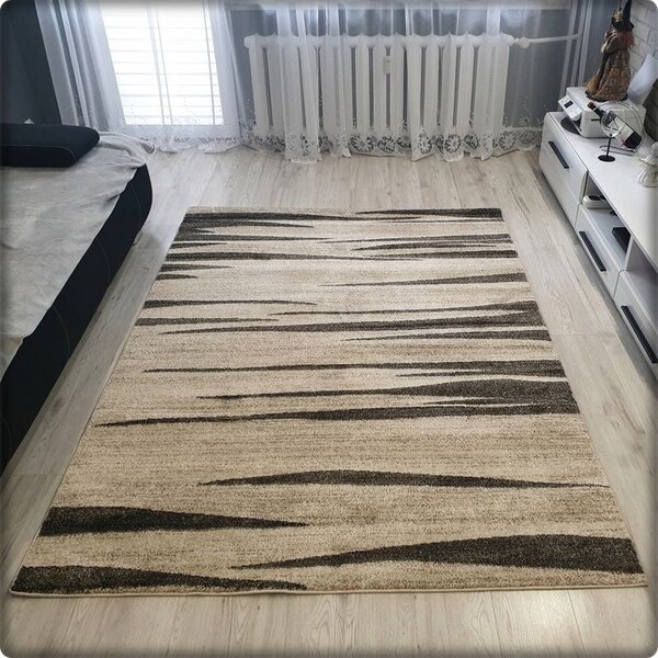 Dekorstudio Moderný koberec RIO vzor 160 krémový Rozmer koberca: 120x170cm
