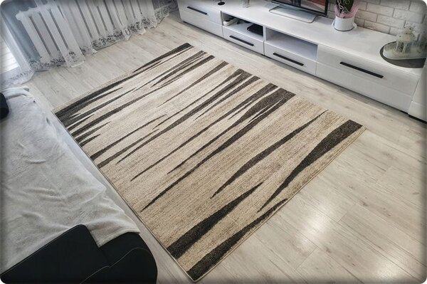 Dekorstudio Moderný koberec RIO vzor 160 krémový Rozmer koberca: 120x170cm