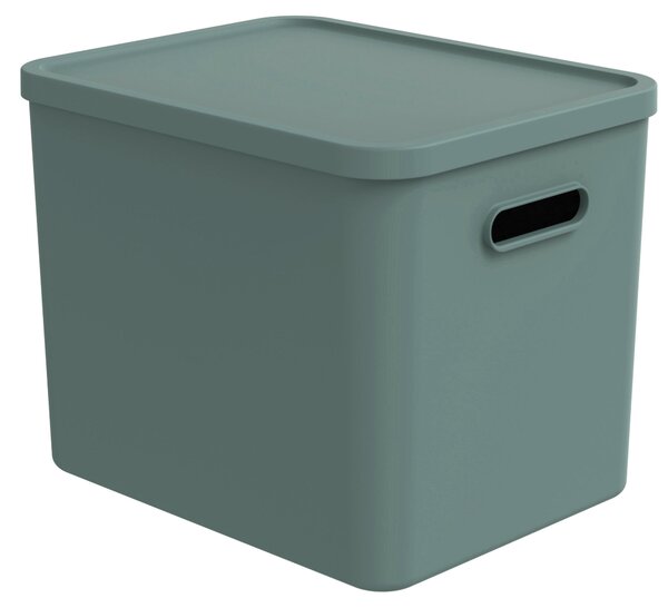 ÚLOŽNÝ BOX plast Rotho - Online Only bytové doplnky, Online Only