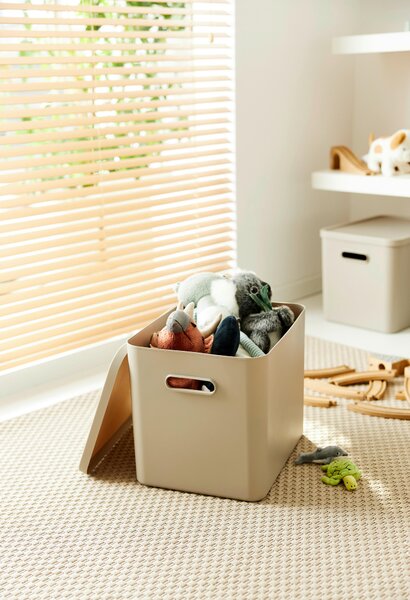ÚLOŽNÝ BOX plast Rotho - Online Only bytové doplnky, Online Only