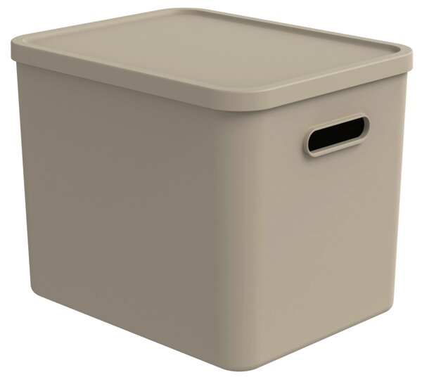 ÚLOŽNÝ BOX plast Rotho - Online Only bytové doplnky, Online Only