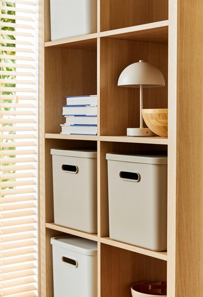 ÚLOŽNÝ BOX plast Rotho - Online Only bytové doplnky, Online Only