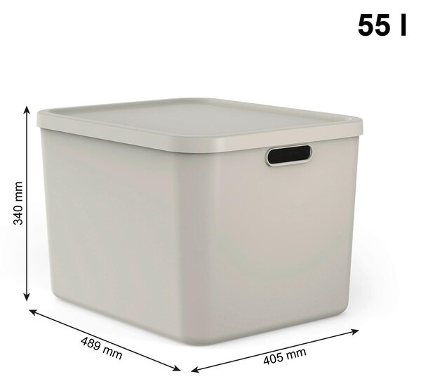 ÚLOŽNÝ BOX plast Rotho - Online Only bytové doplnky, Online Only