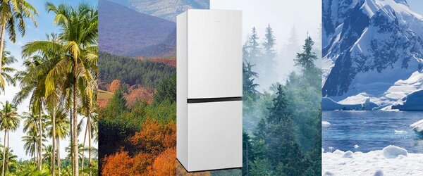 HISENSE RB291D4CWE - Kombinovaná chladnička