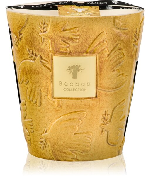 Baobab Collection Paz Dove vonná sviečka 1000 g