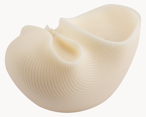 Ručne vyrobená sviečka Shell, V 16 cm