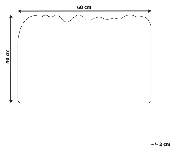 Rohožka prírodné kokosové vlákno 40 x 60 cm PVC povlak protišmyková rohož s motívom rastlín do interiéru moderná