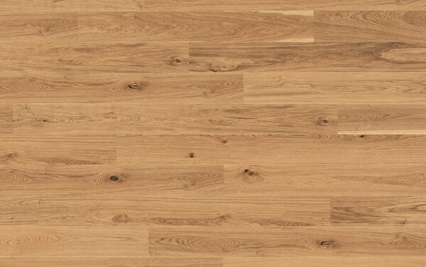 Tarkett Pure DUB RUSTIC PLANK XT 7879004